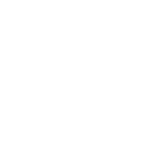 Ace Lio